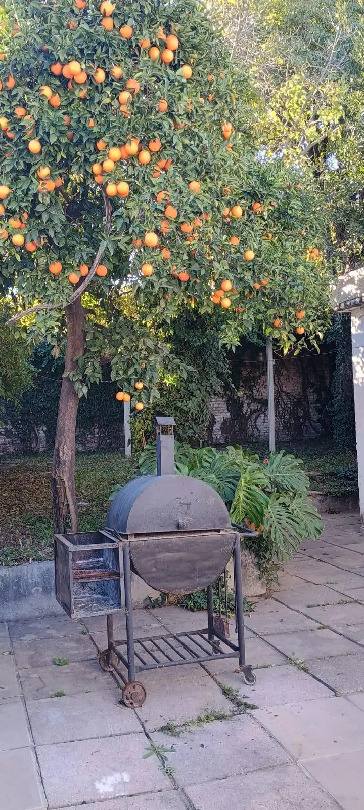 Foto 25