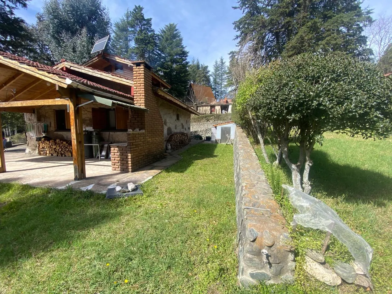 Foto 7