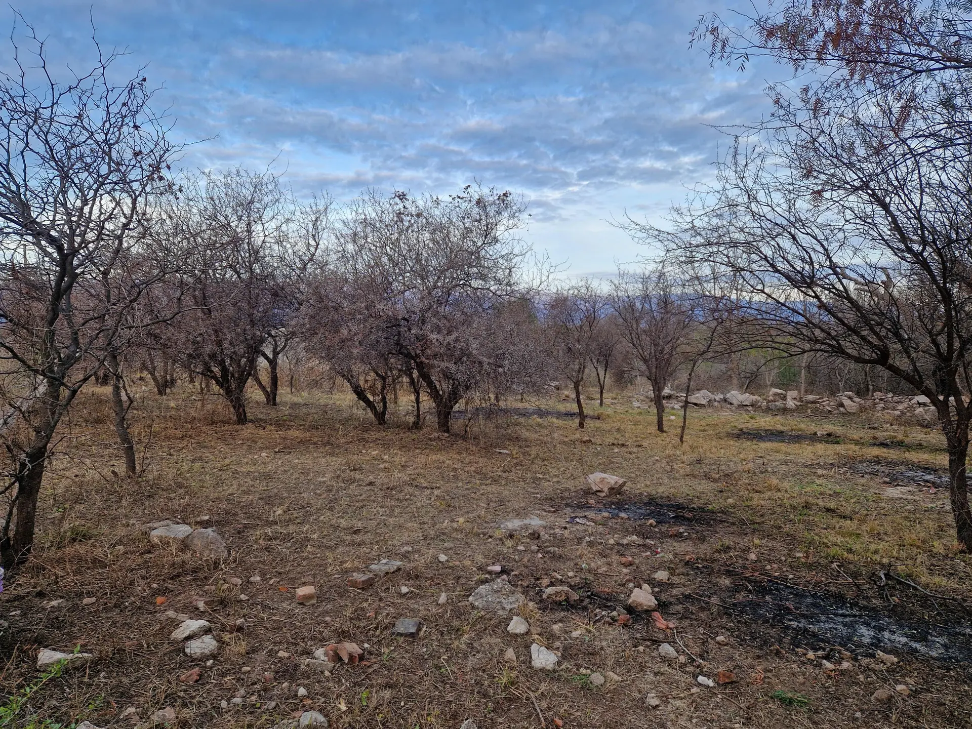 Terreno en venta · Villa Dolores, San Javier, Córdoba