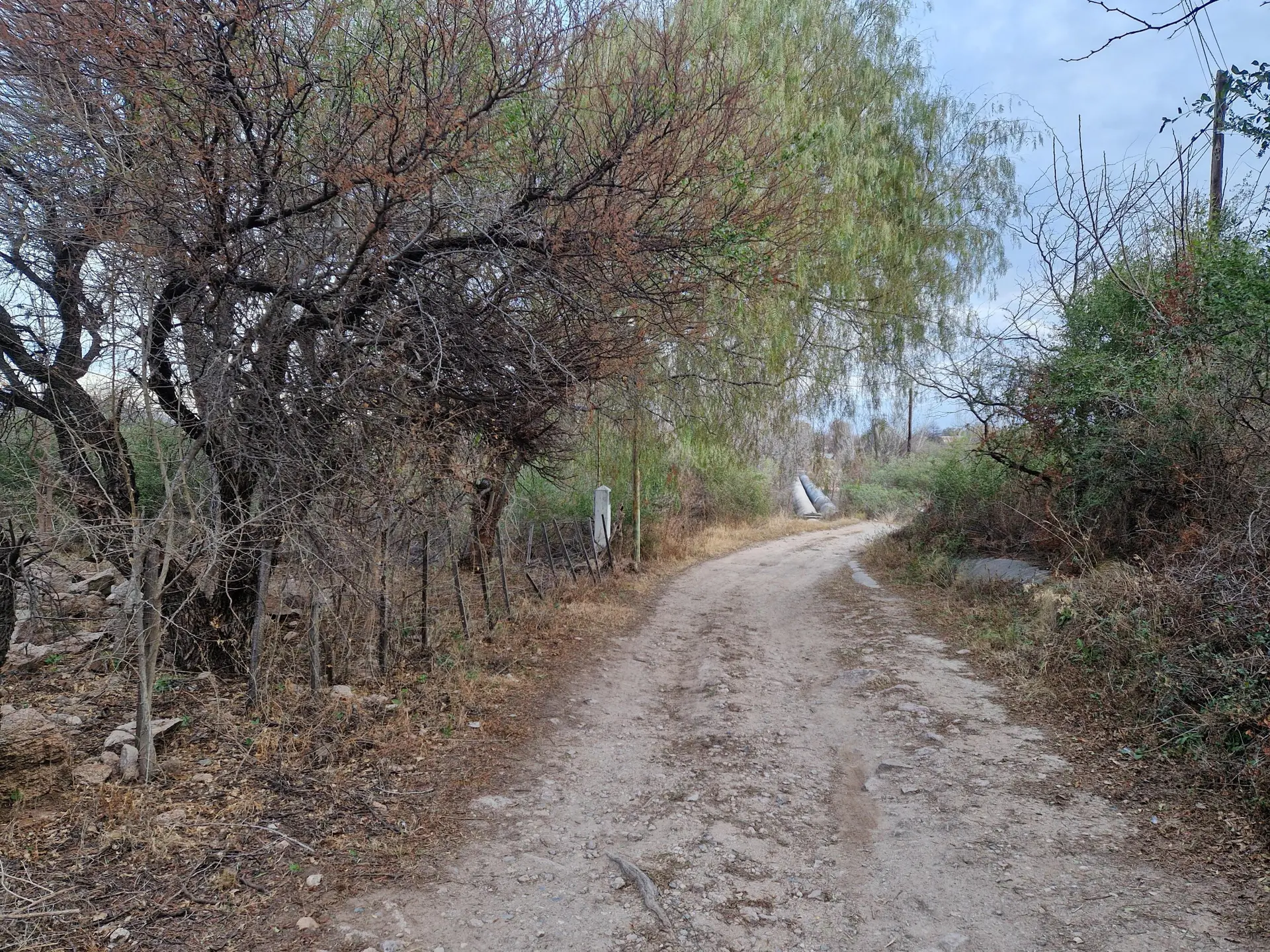 Foto 4