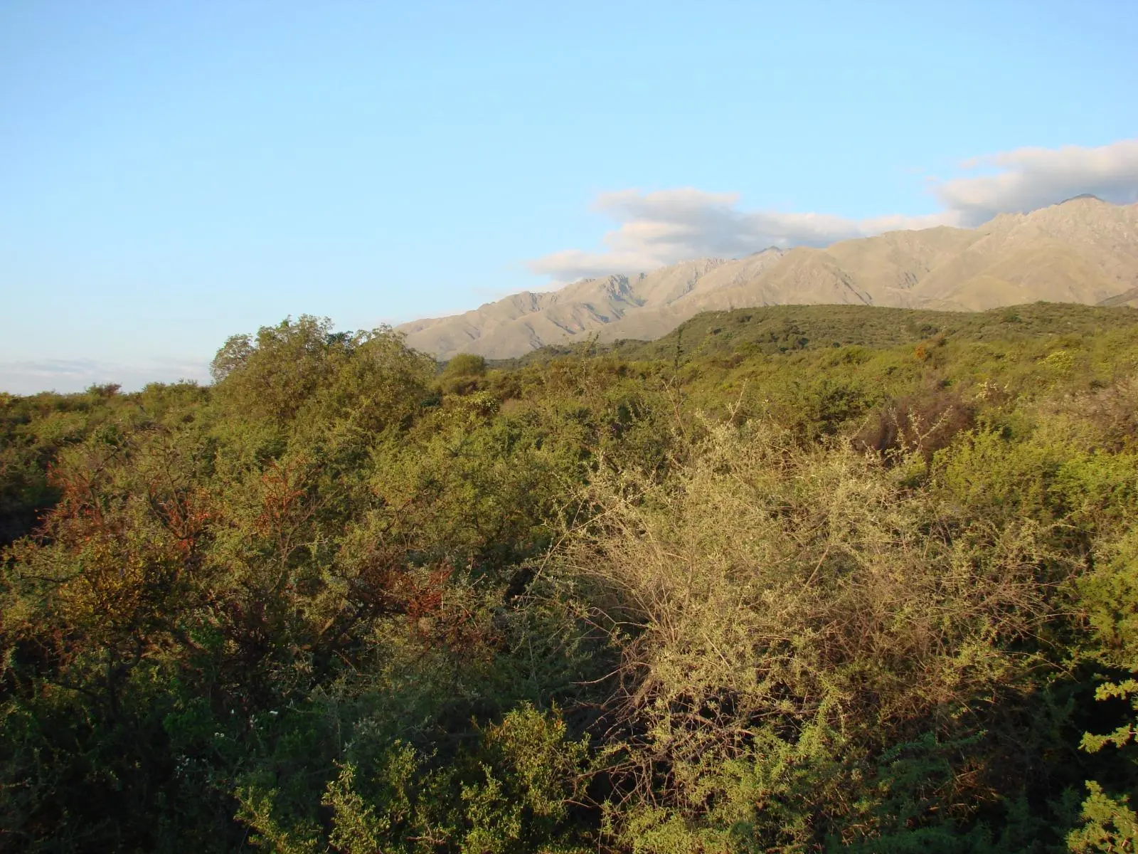 Foto 43