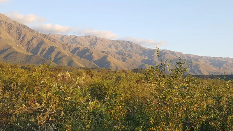 Foto 14