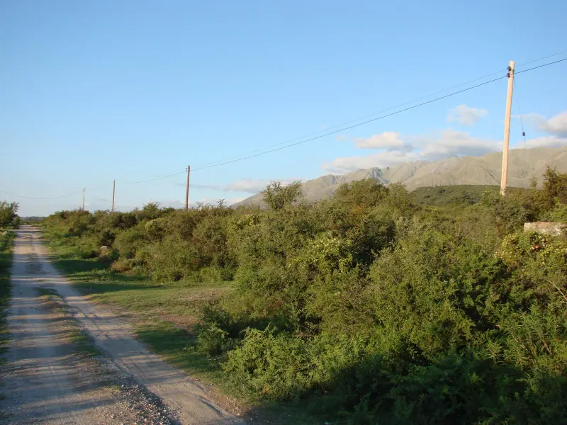 Foto 31