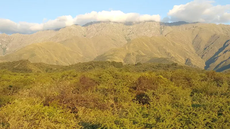 Foto 45