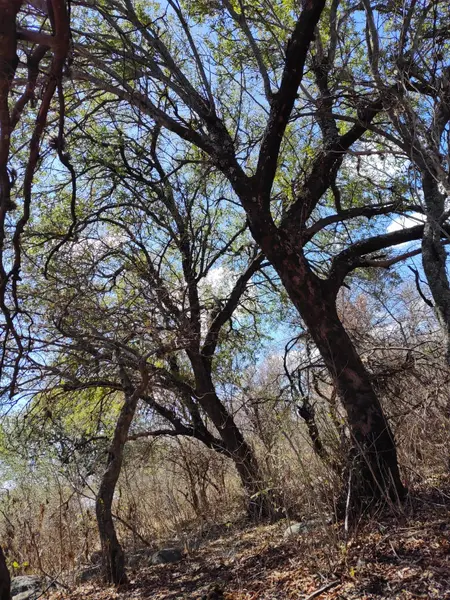 Terreno en venta · San Javier, Córdoba