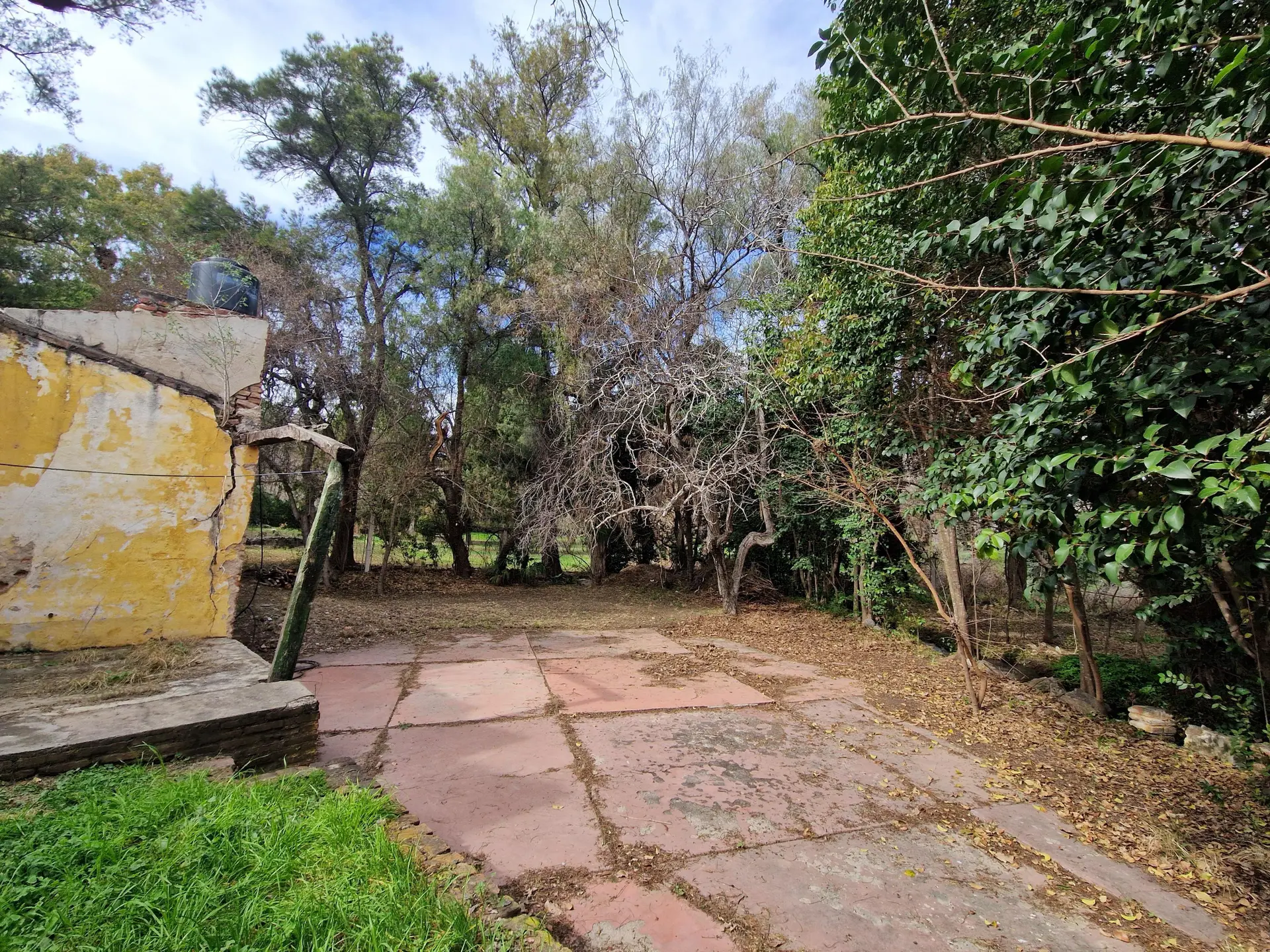 Foto 11