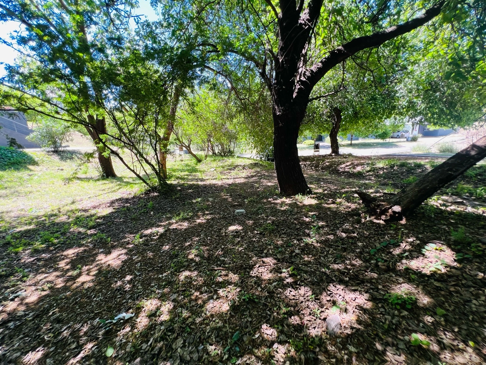 Foto 24