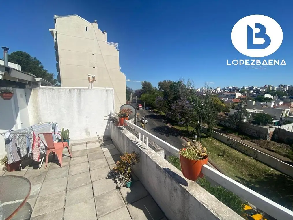 Foto 19