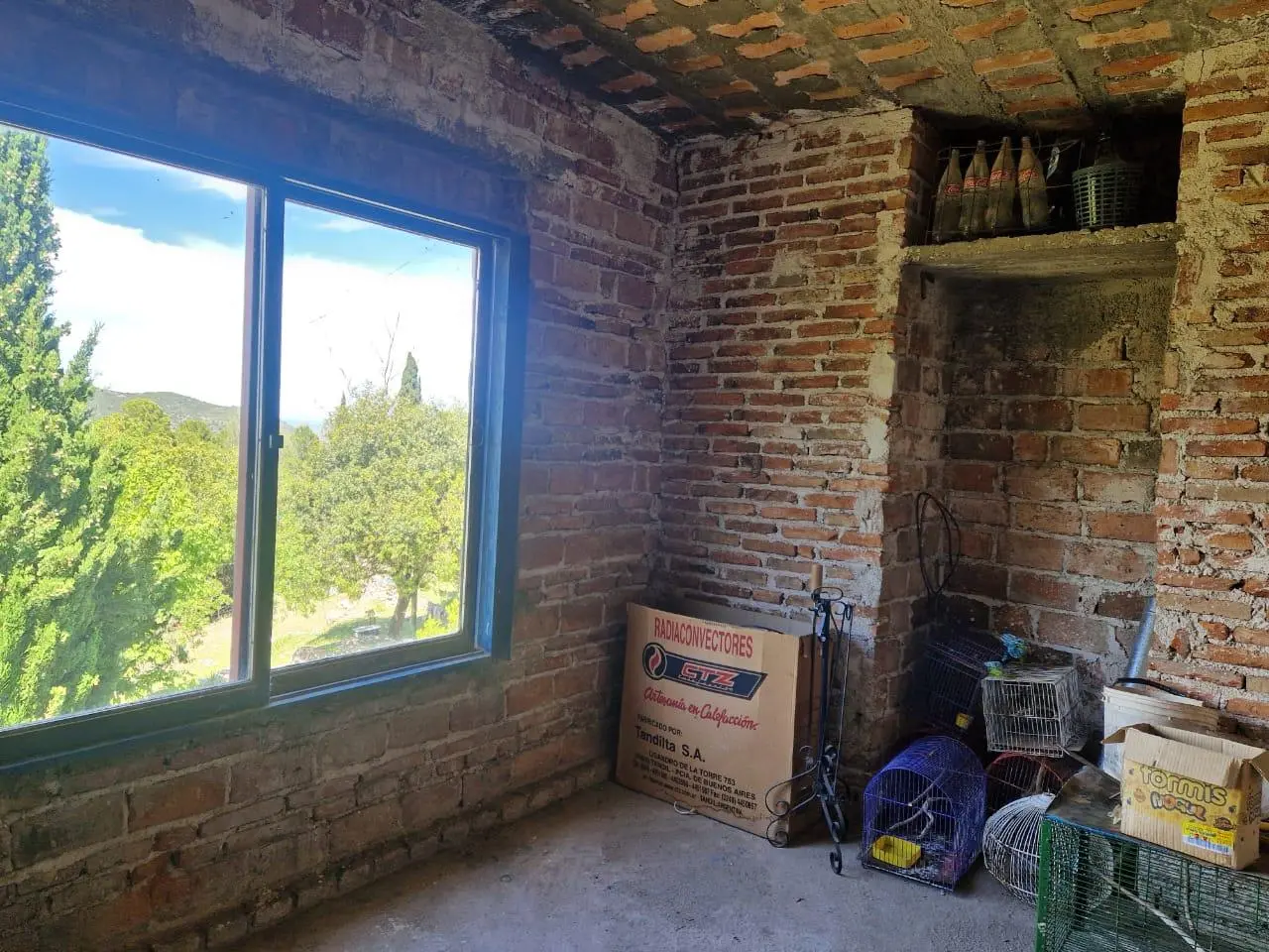 Foto 66