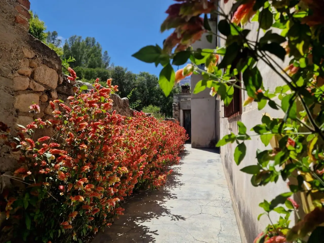 Foto 20