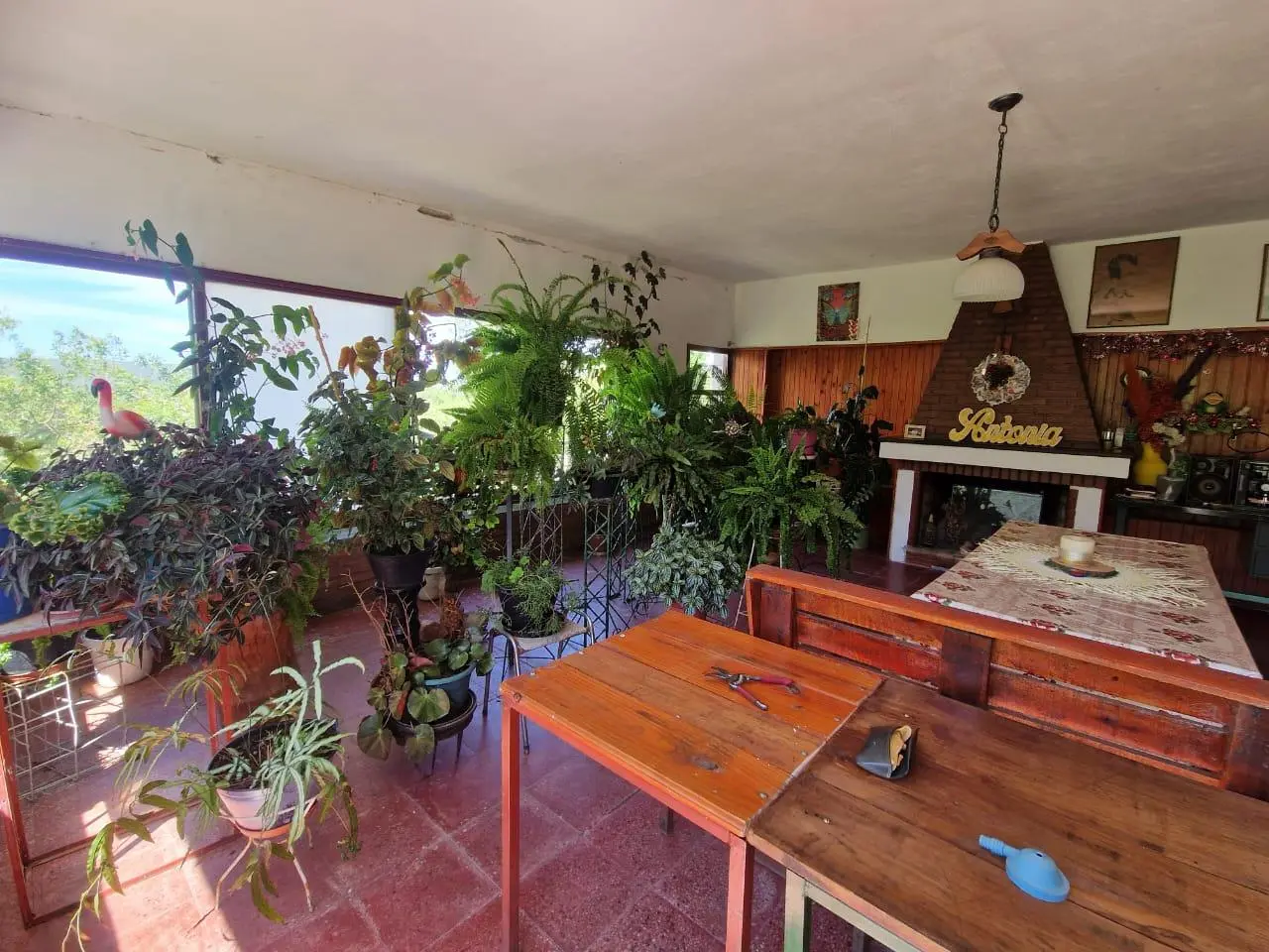 Foto 47