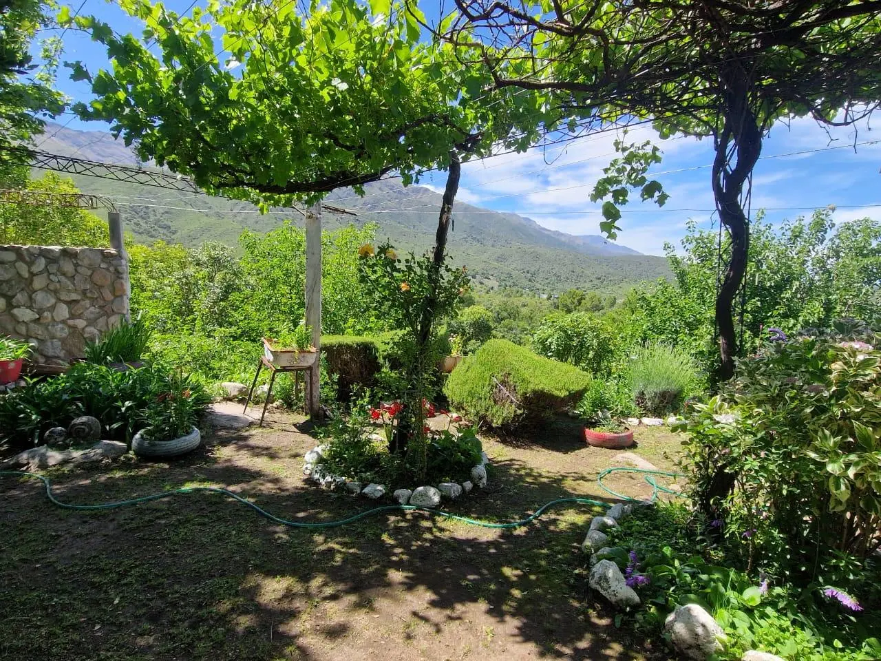 Foto 34