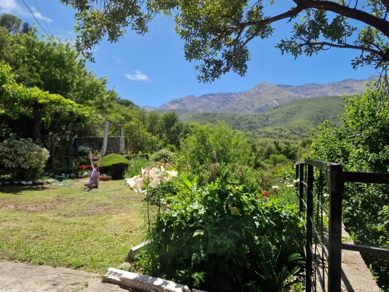 Foto 57