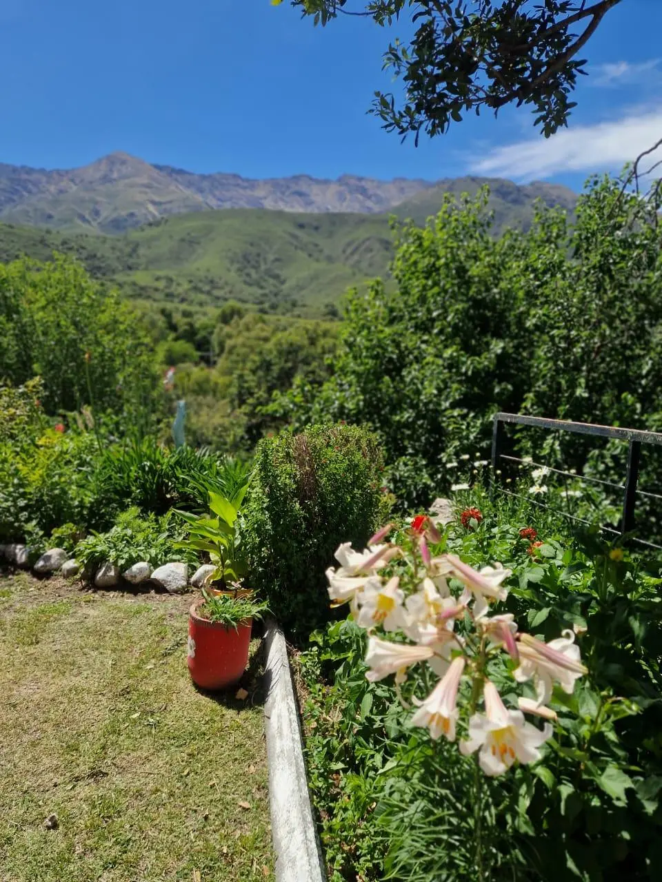 Foto 64