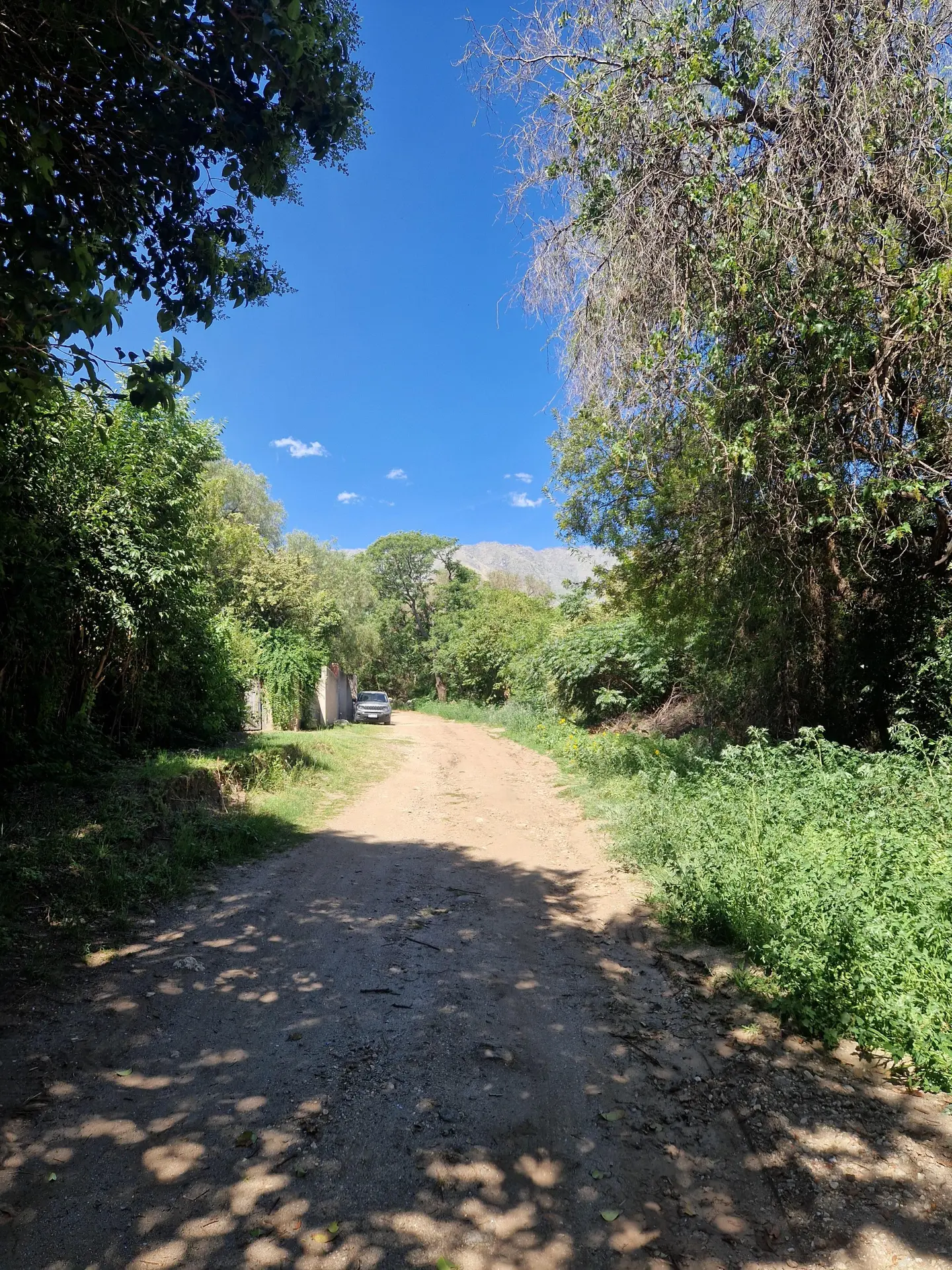 Foto 14