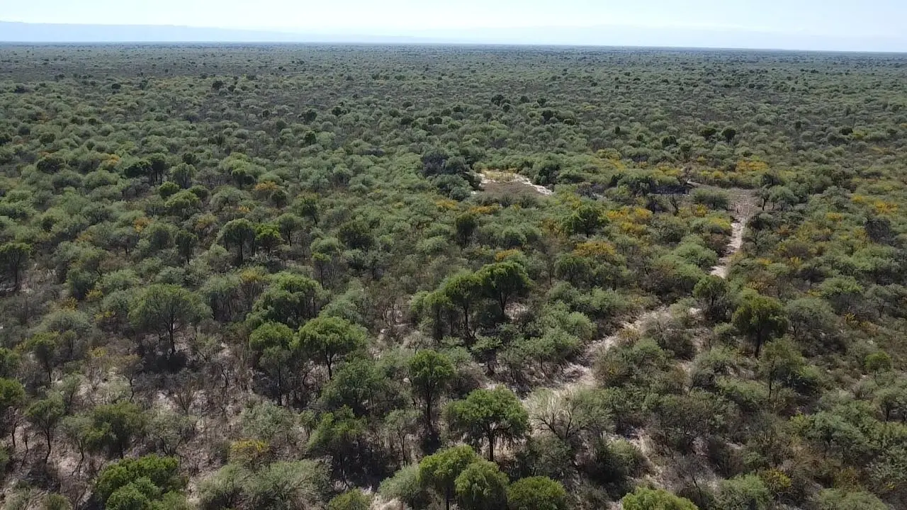 Terreno en venta · San Alberto, Córdoba