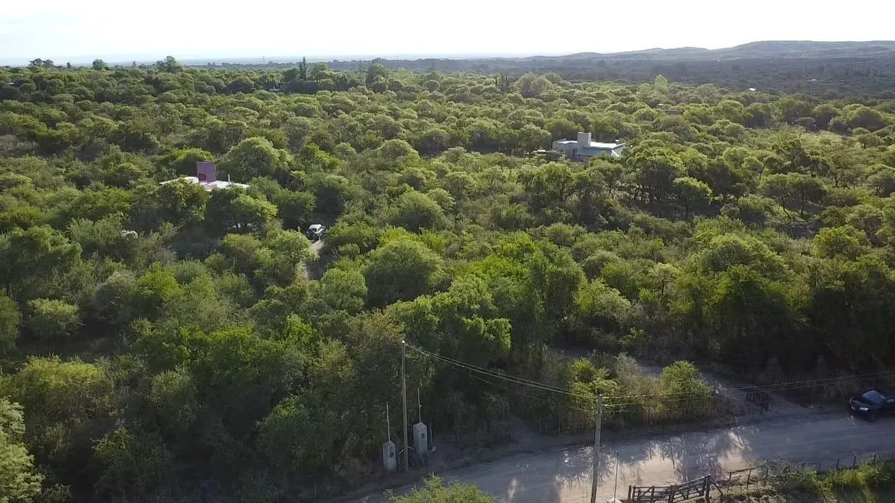 Foto 14