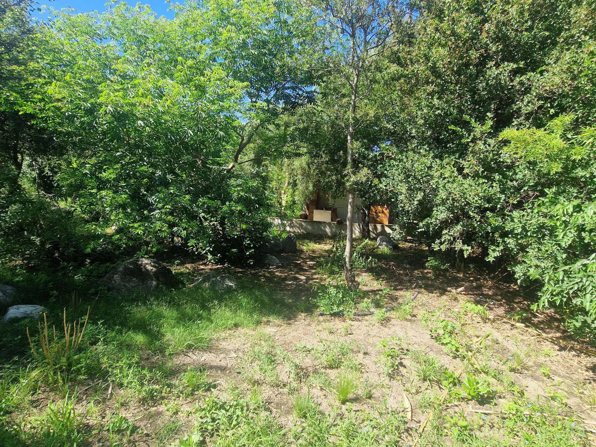 Foto 16
