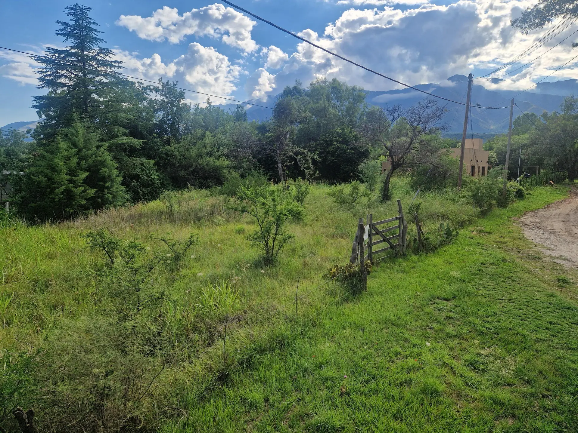 Foto 6