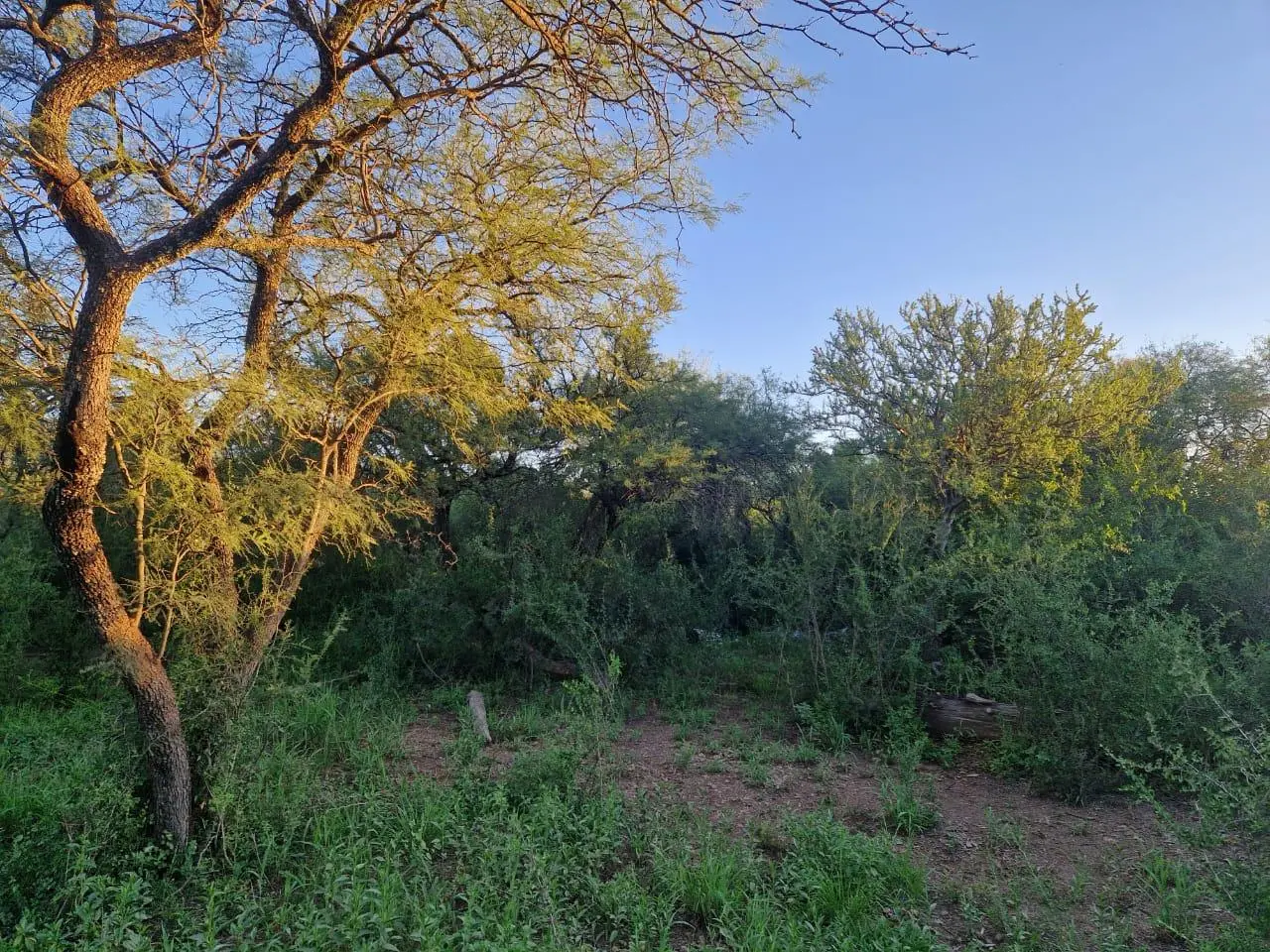 Terreno en venta · San Javier, San Javier, Córdoba
