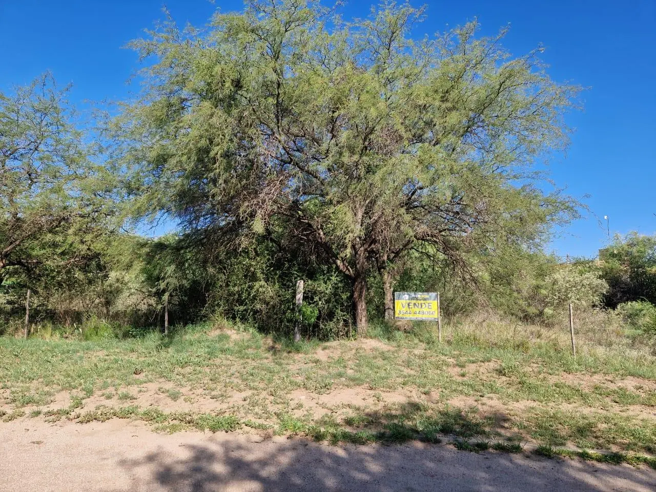 Foto 18