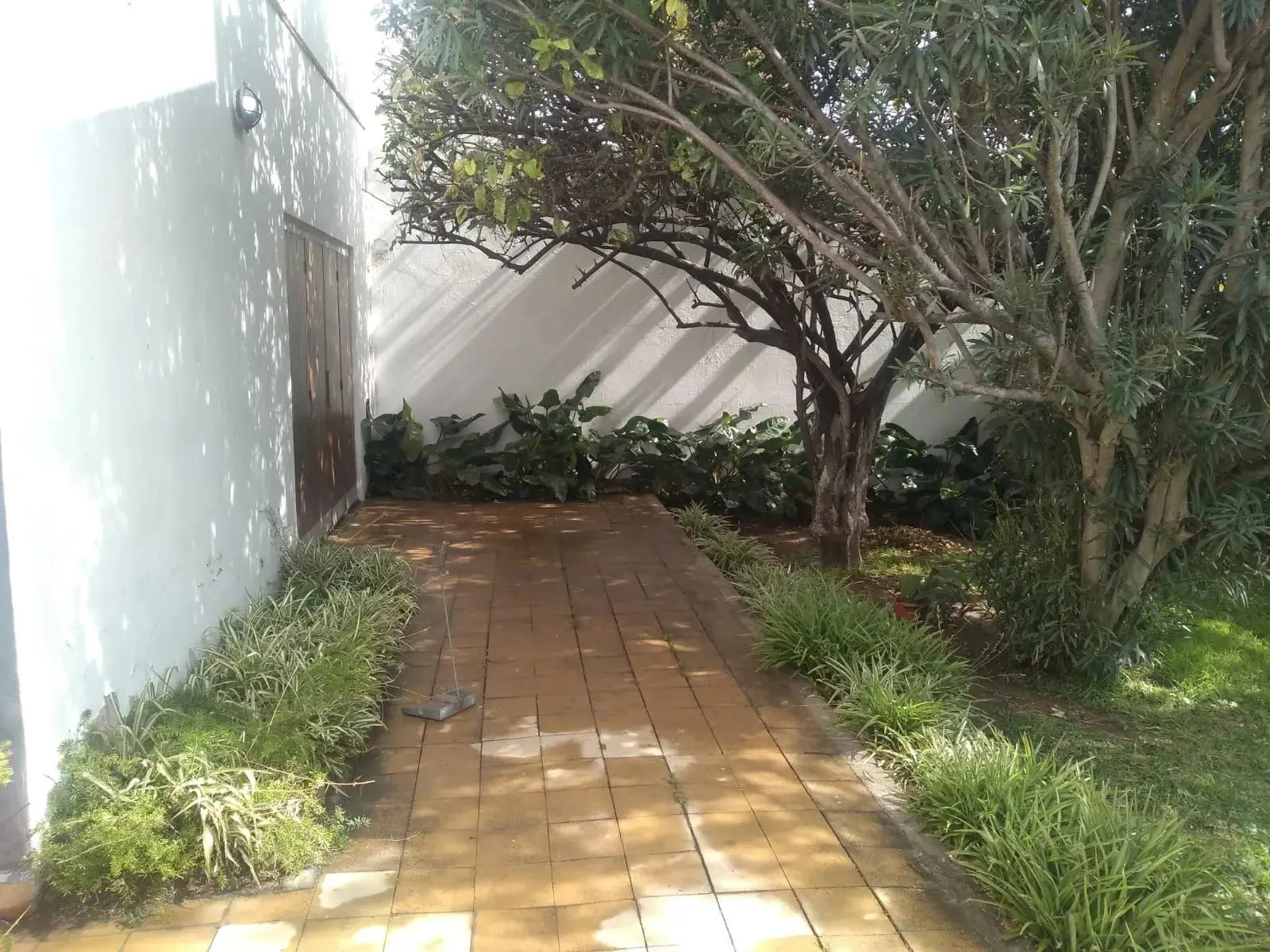 Foto 13