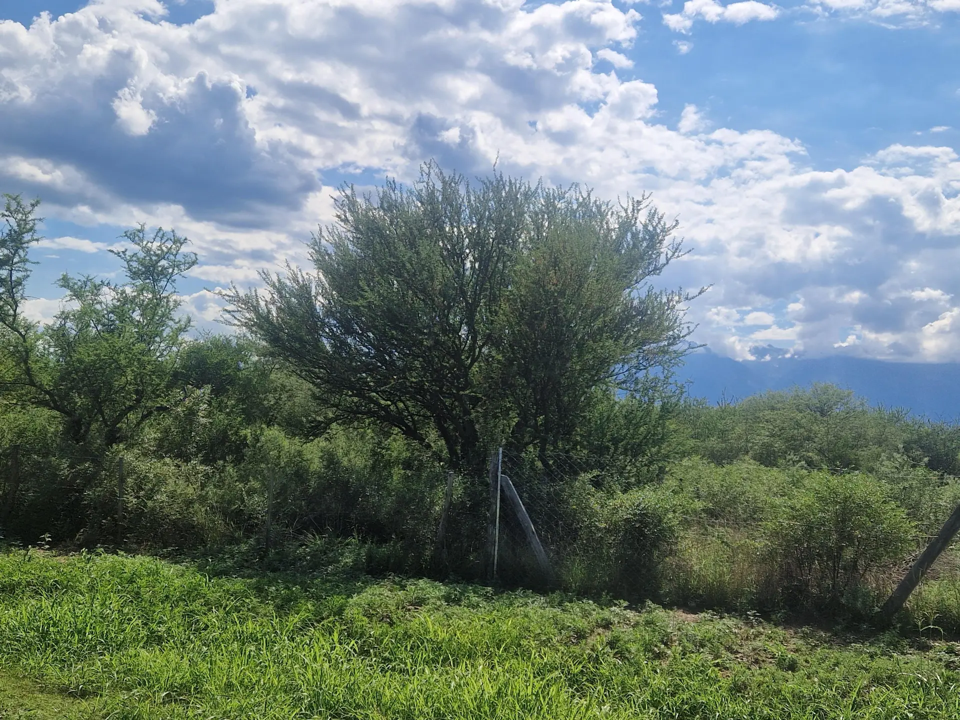 Terreno en venta · San Javier, Córdoba