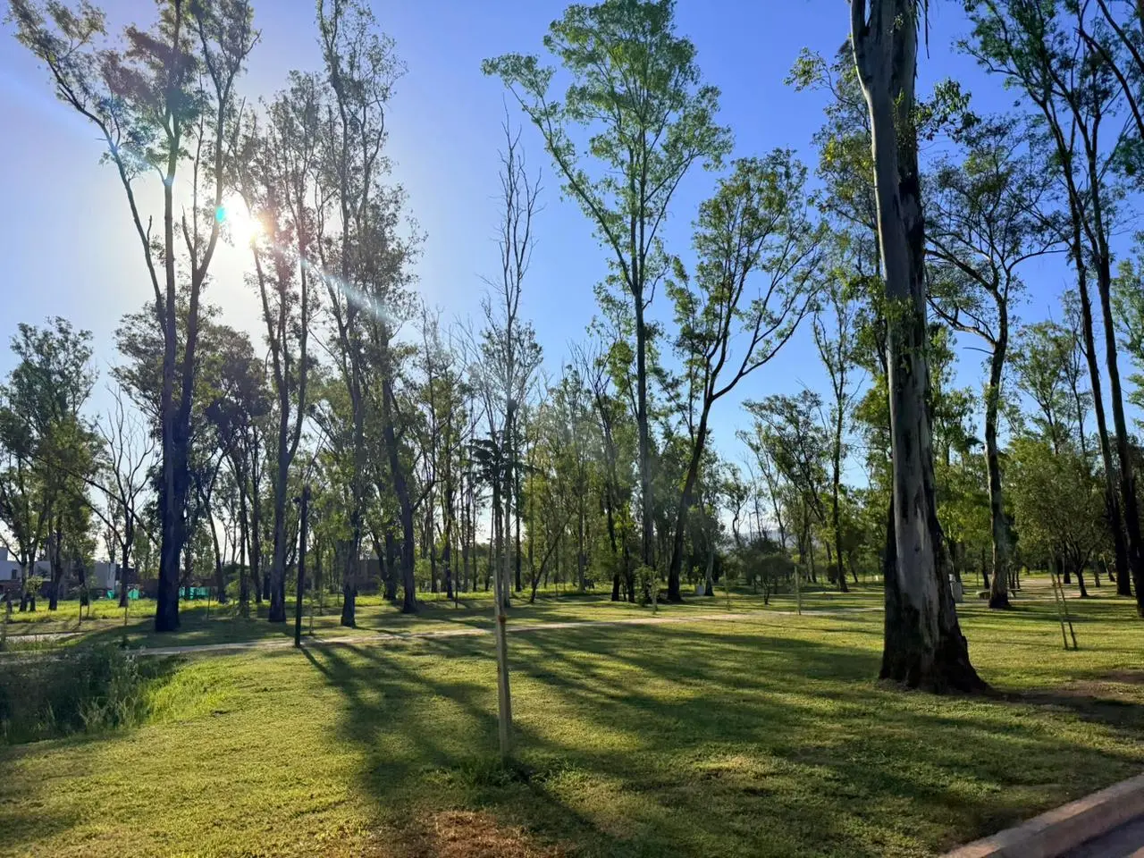 Foto 16