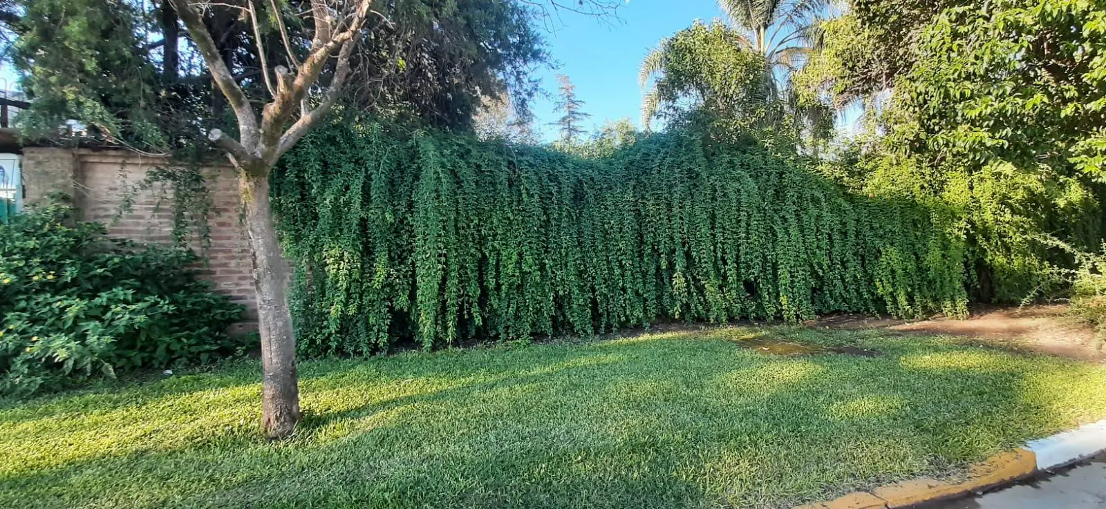 Terreno en venta · Villa Rivera Indarte, Córdoba Capital, Córdoba