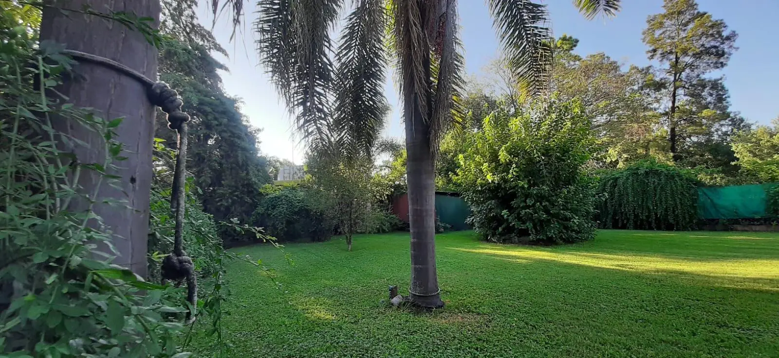 Foto 6