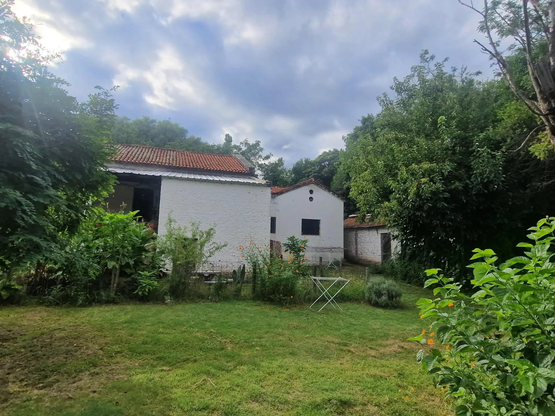 Foto 10