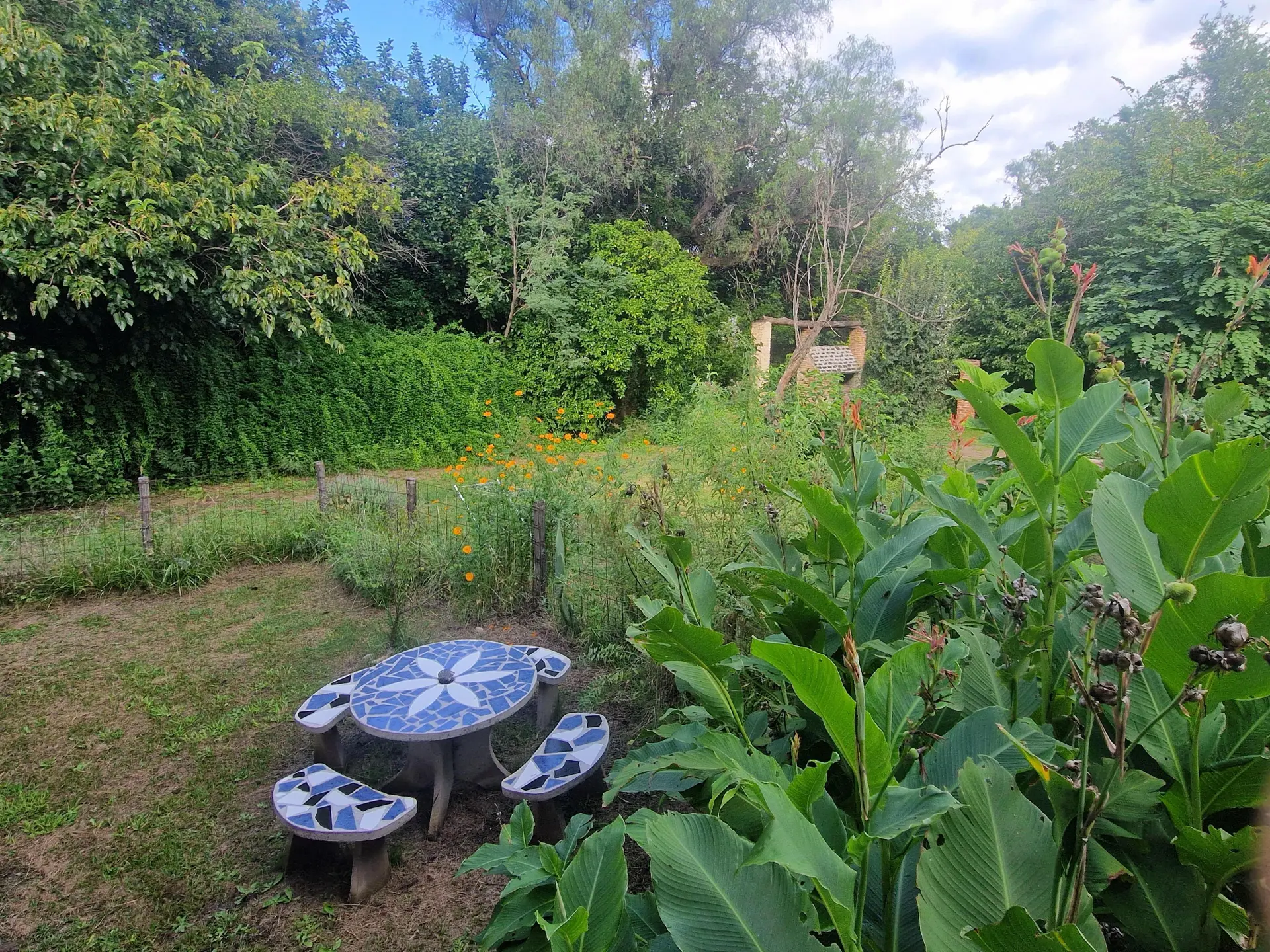 Foto 60