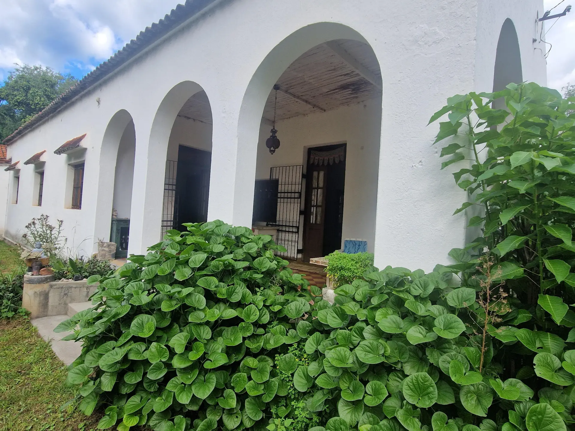 Foto 17