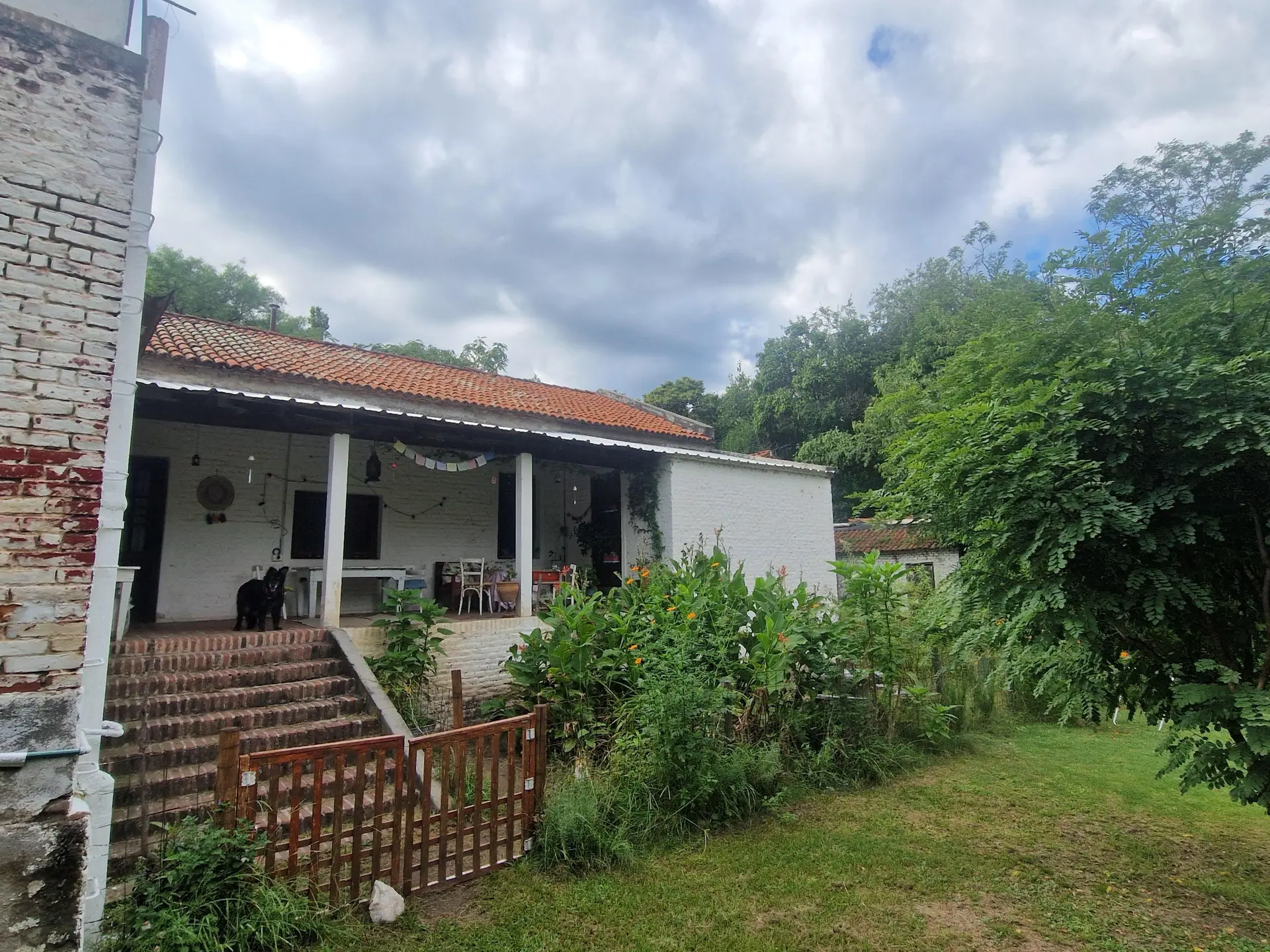 Foto 11