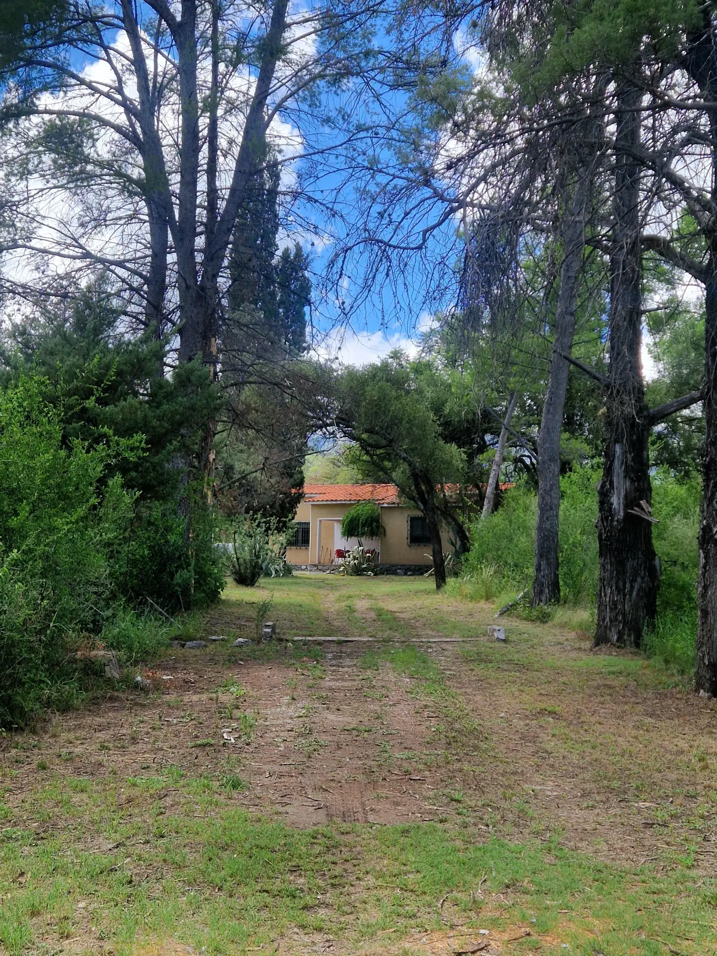 Foto 8