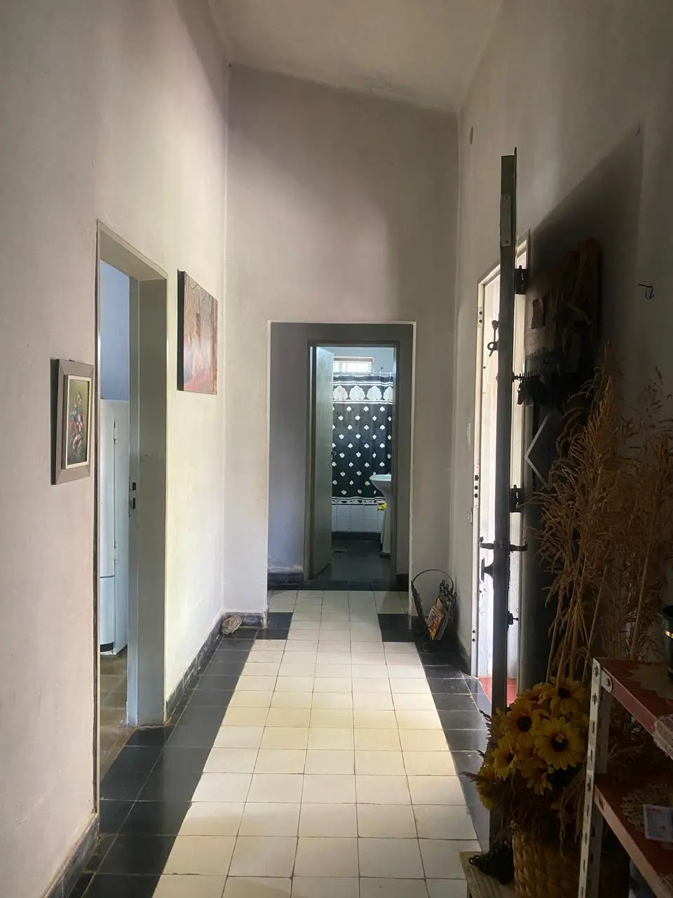 Foto 47