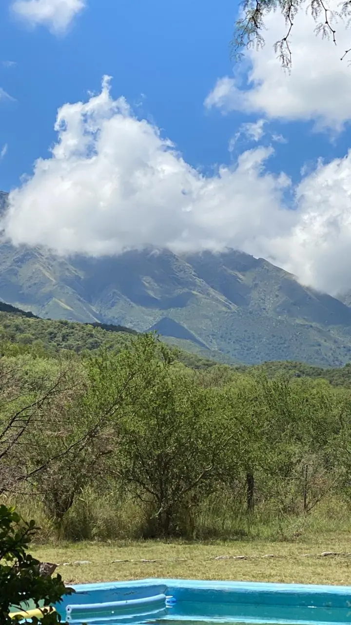 Foto 46