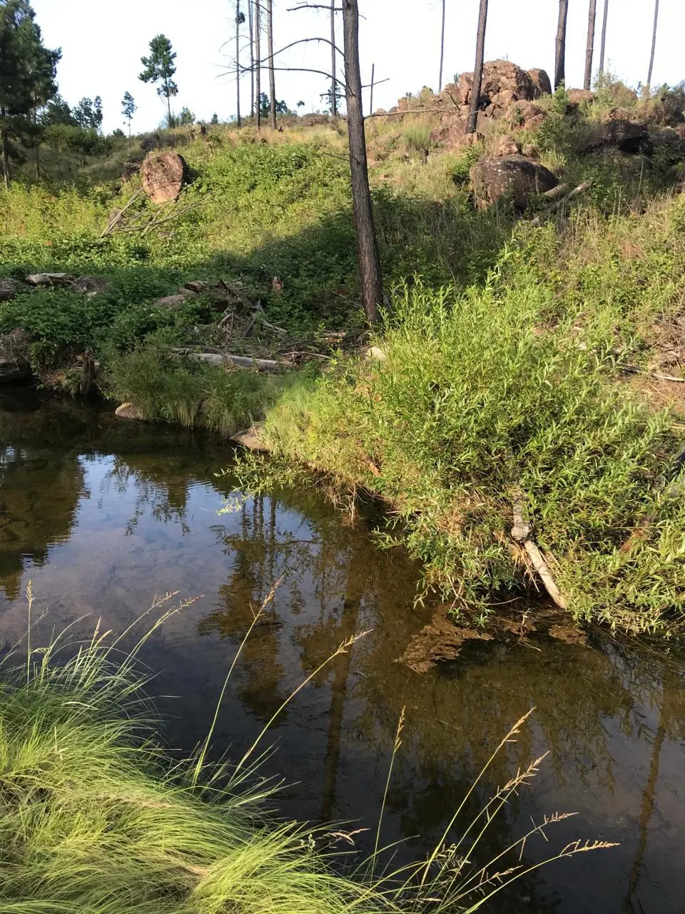 Terreno en venta · Atos Pampa, Calamuchita, Córdoba