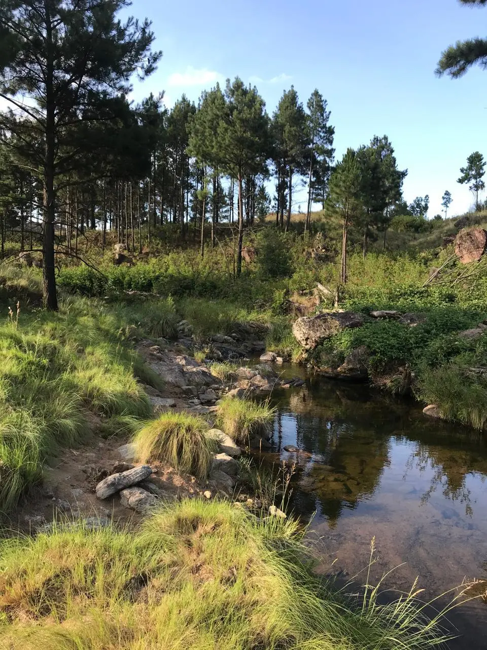 Terreno en venta · Atos Pampa, Calamuchita, Córdoba
