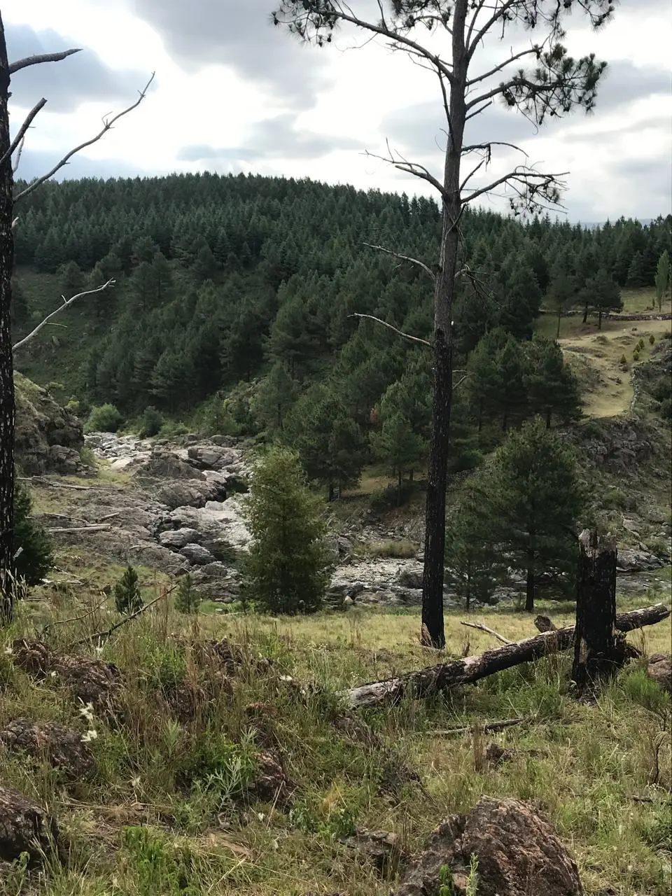 Terreno en venta · Atos Pampa, Calamuchita, Córdoba