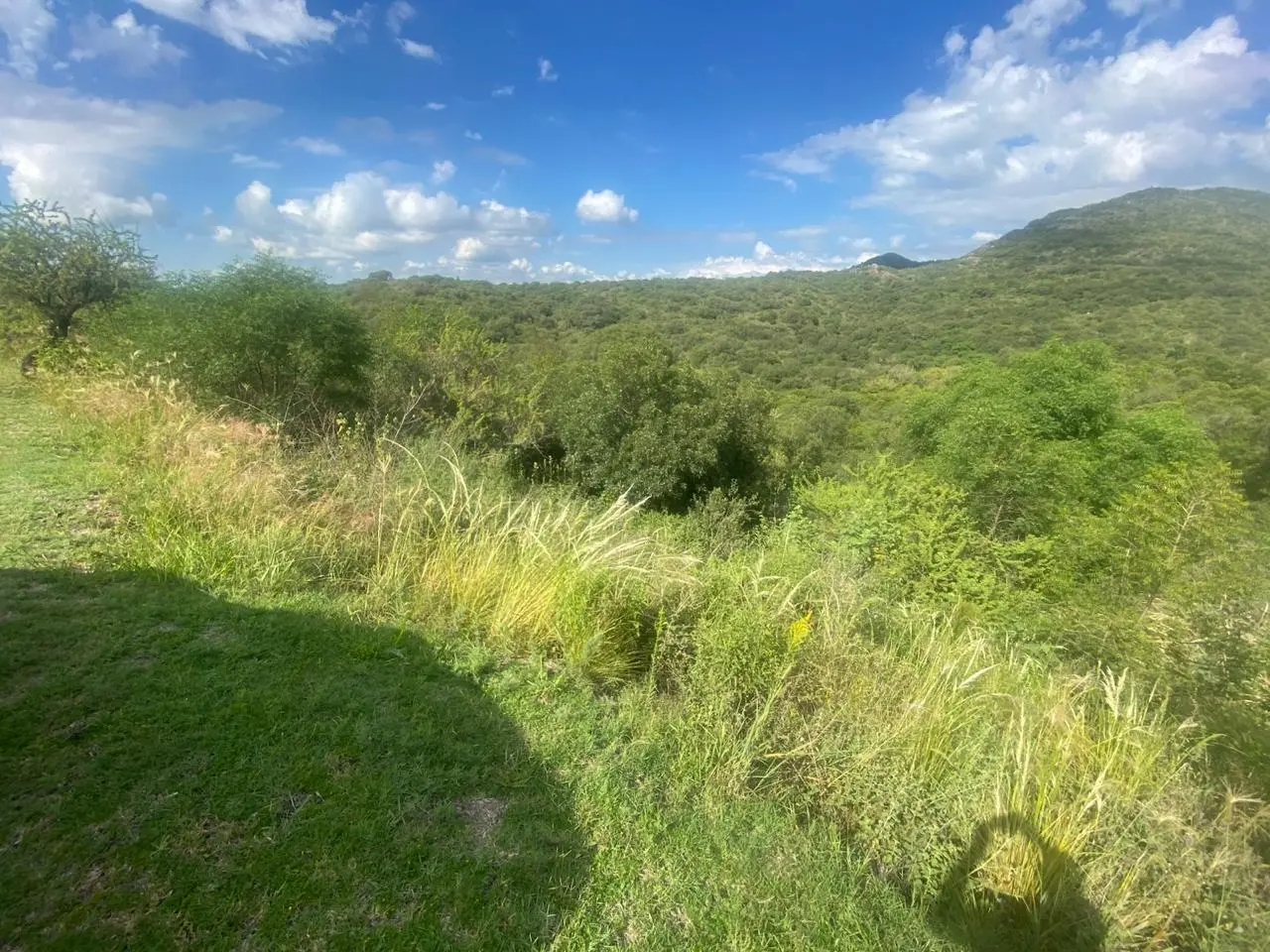 Foto 14