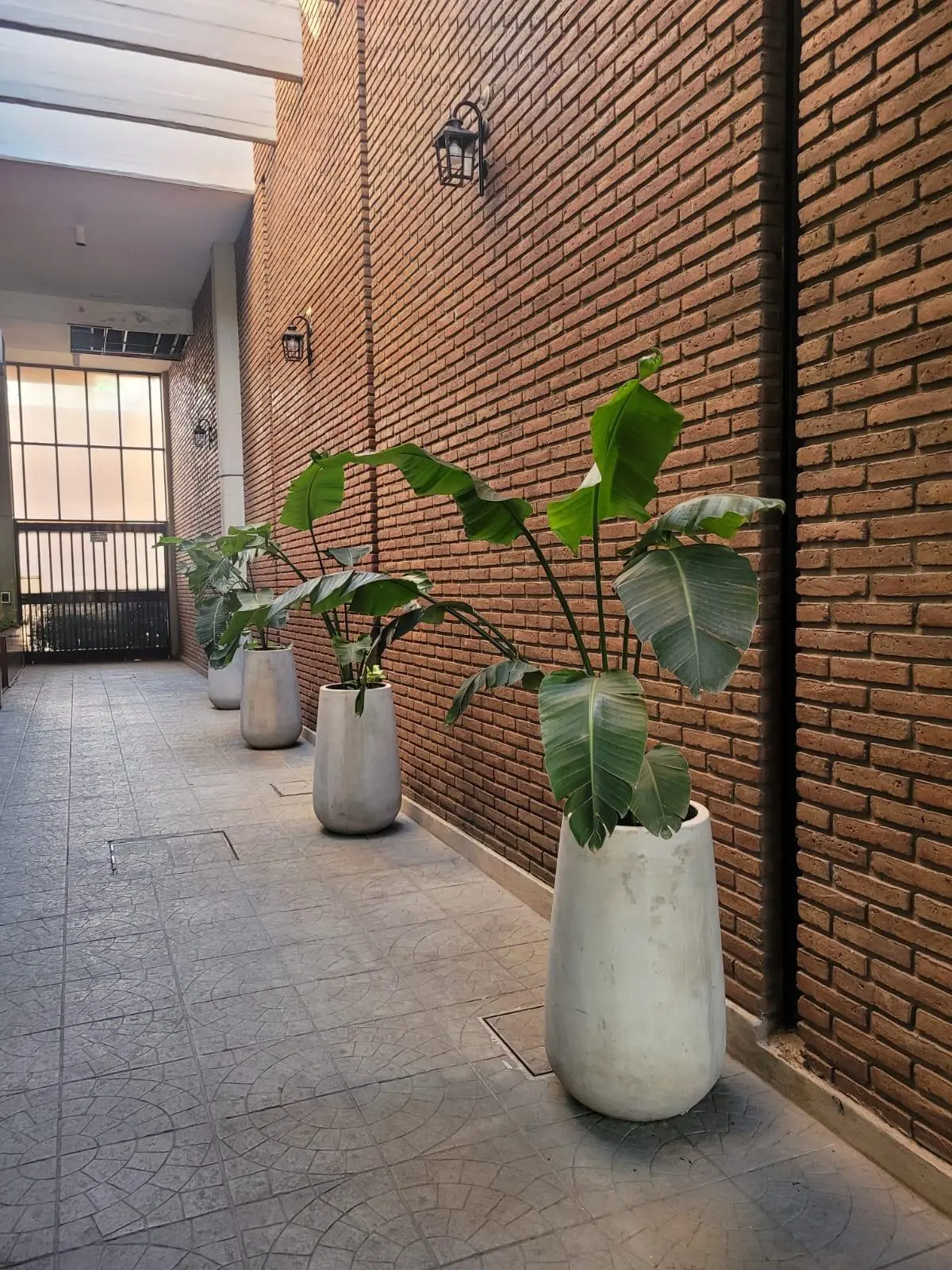 Departamento en alquiler · Alta Córdoba, Córdoba Capital, Córdoba