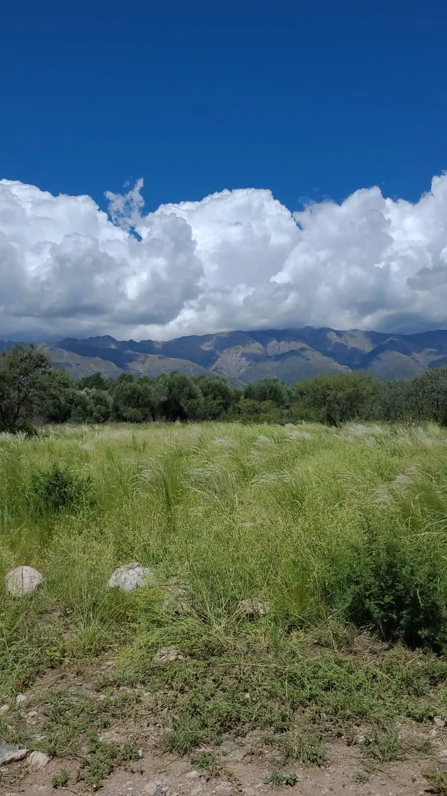 Terreno en venta · Villa de las Rosas, San Javier, Córdoba
