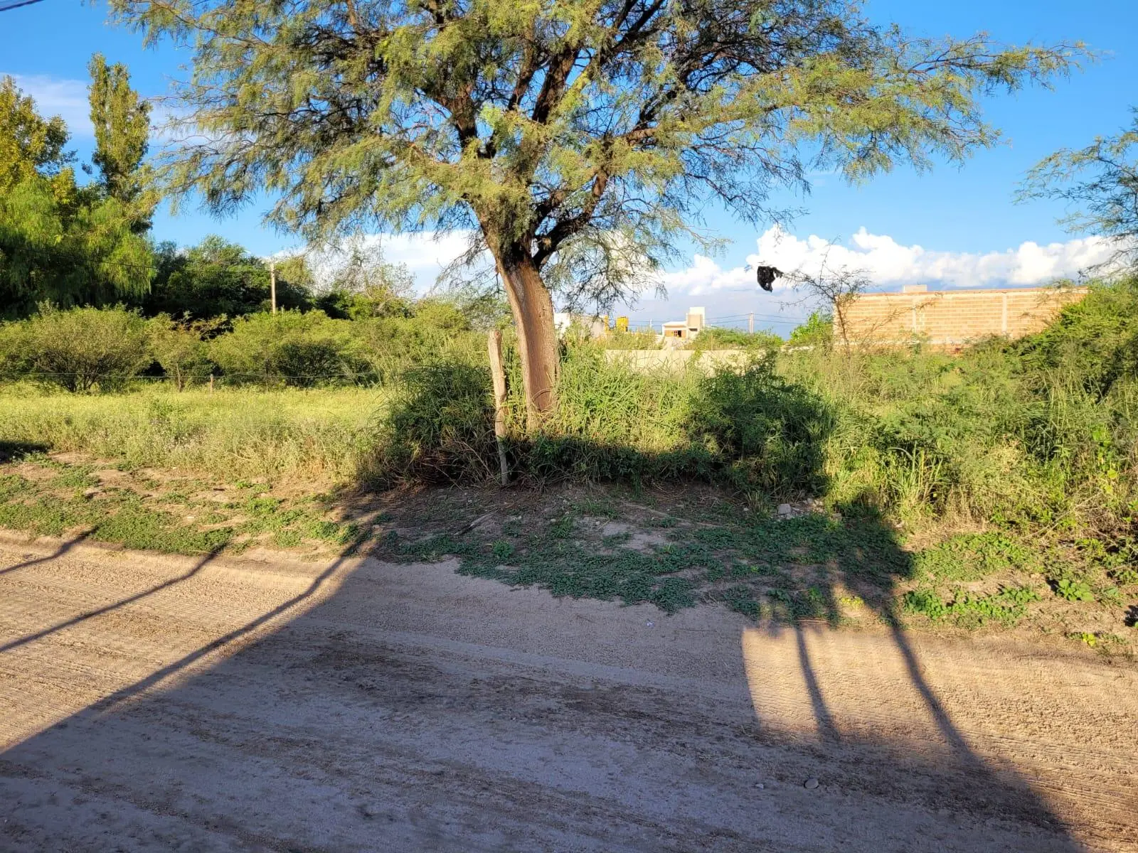 Foto 10