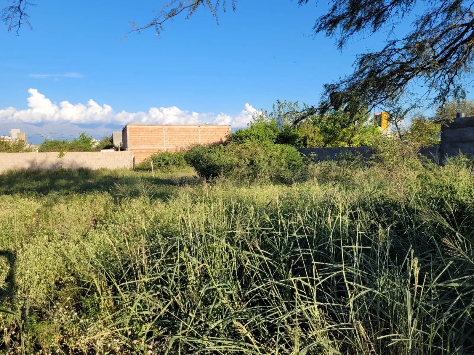 Terreno en venta · San Alberto, Córdoba