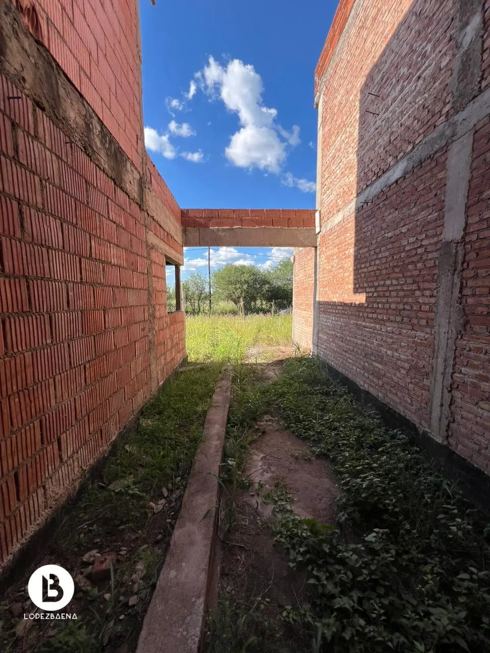 Foto 7