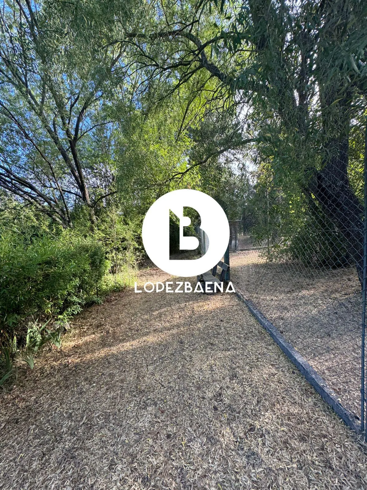 Foto 42