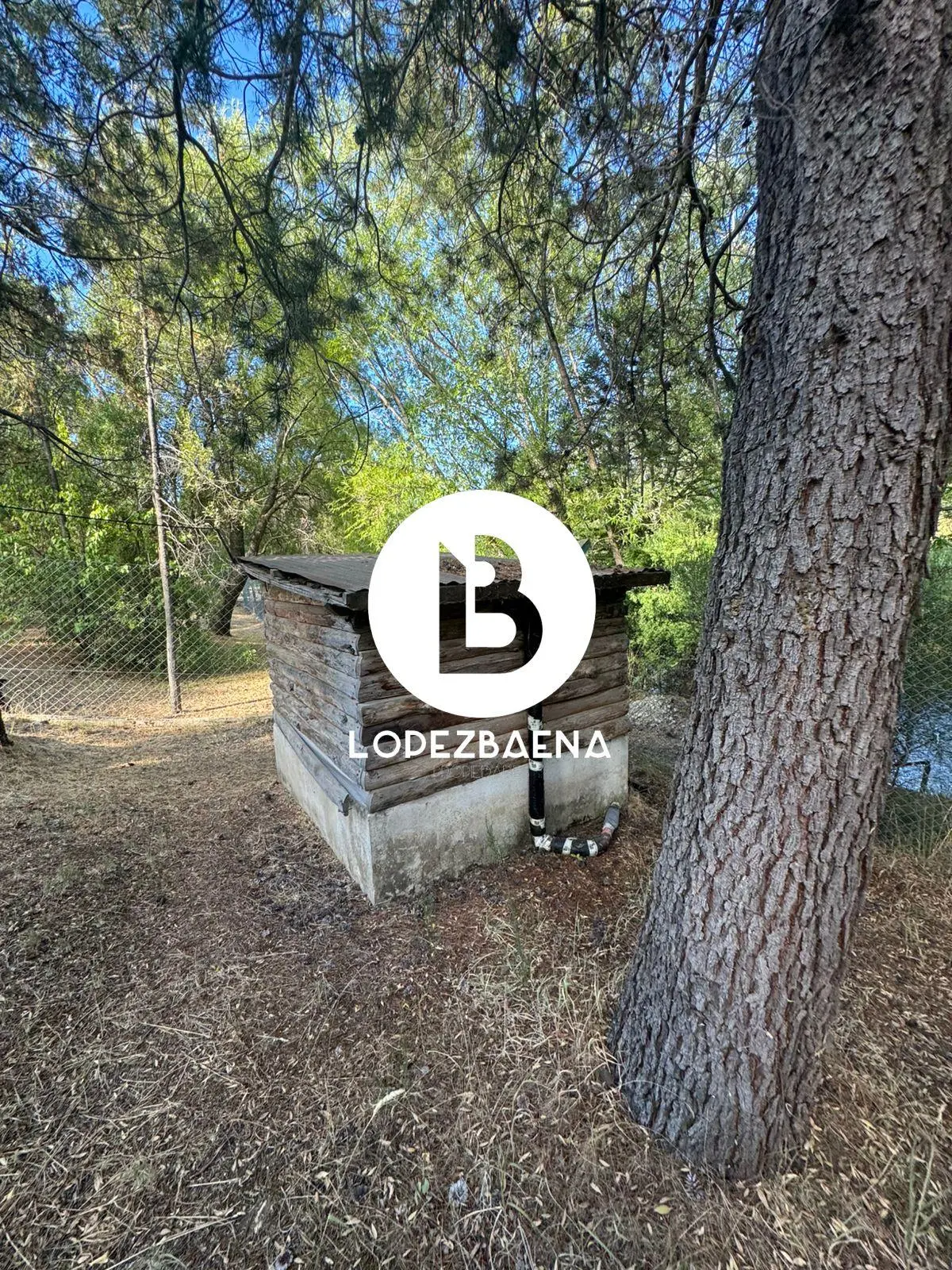 Foto 40