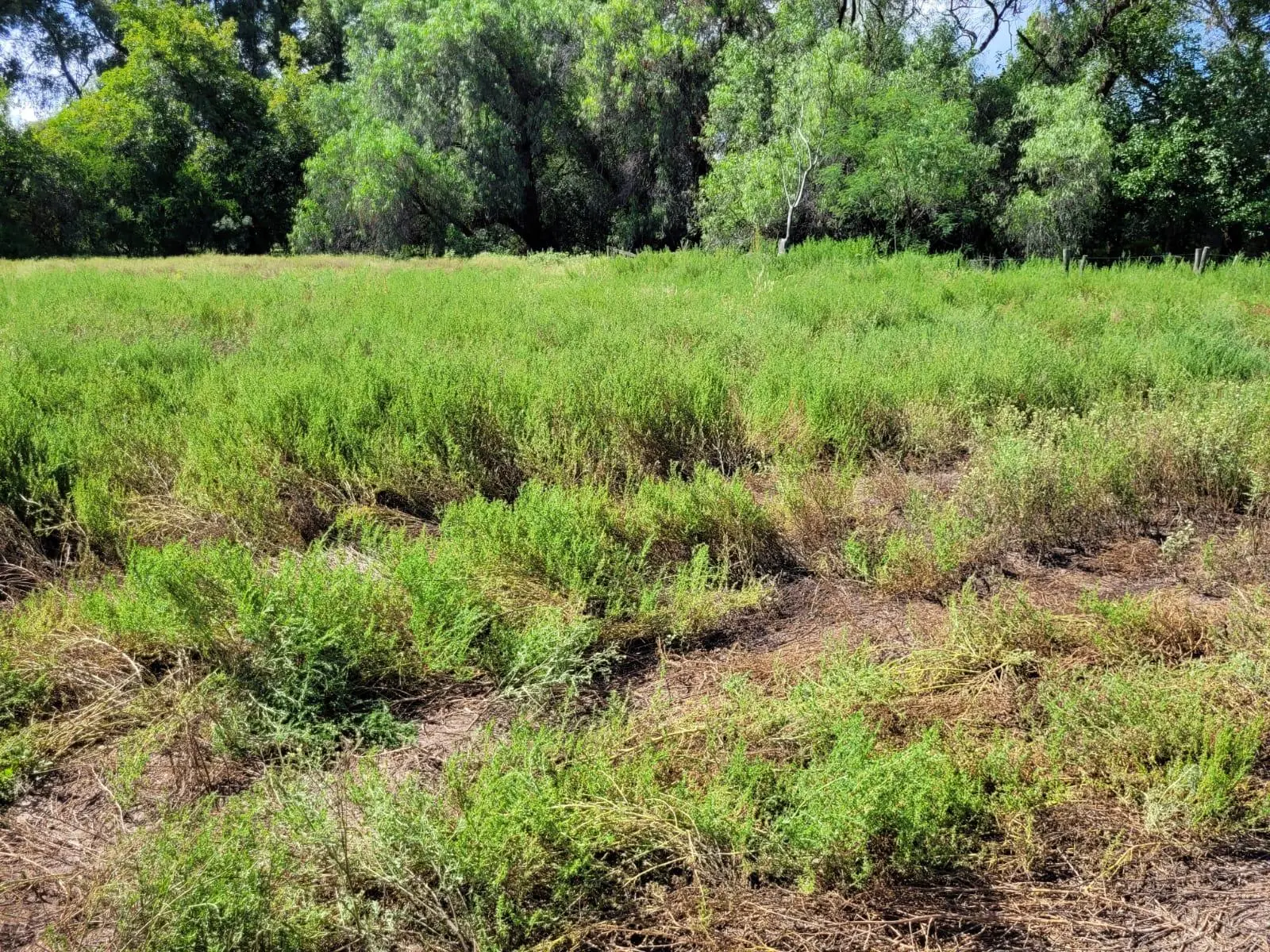 Terreno en venta · San Javier, Córdoba