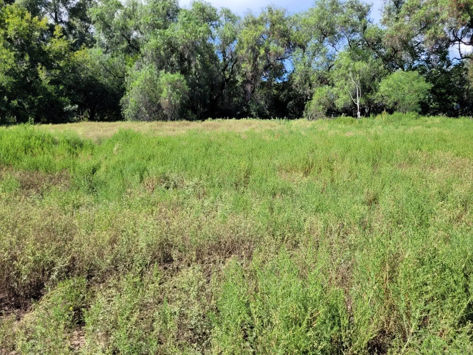 Terreno en venta · San Javier, Córdoba